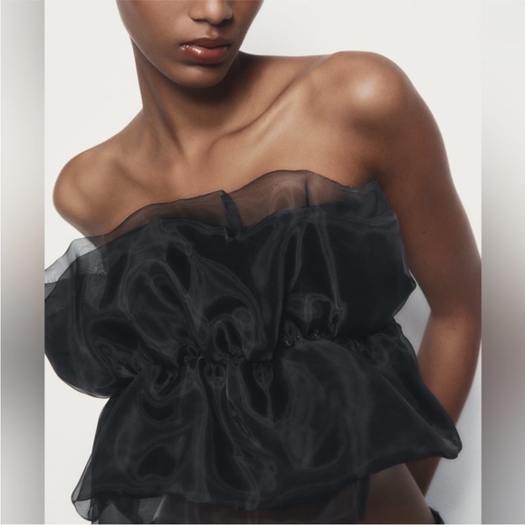 NWT Zara Organza Crop Top - Picture 3 of 7